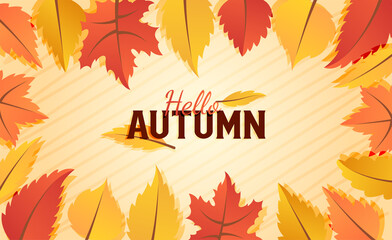 Hallo autumn sale background layout decorate with leaves for shopping sale or promo poster and frame leaflet or web banner.Vector illustration template.