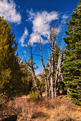 hiking at Mammoth California in the fall