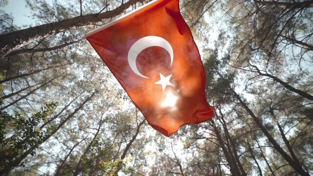 Forgotten Turkish flag waving slowly in exotic forest Spain
