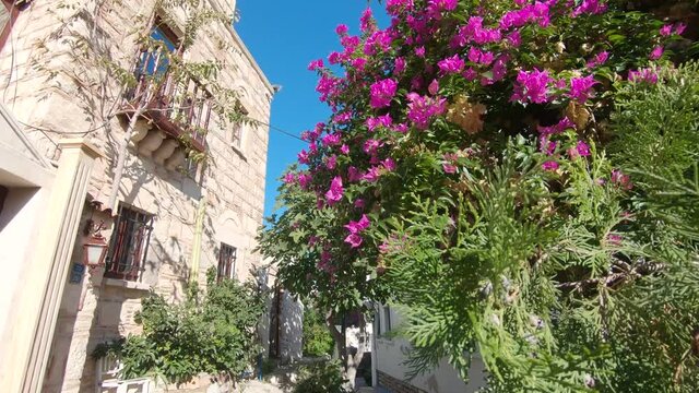 Blossom flowers and lush trees, Aegean Mediterranean architecture in Bodrum, Turkey.