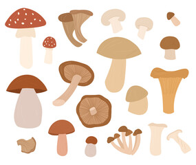 Mushrooms set Vector hand drawn cartoon illustration isolated 