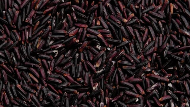 Rotation shot of Black rice berry, Top view, Close up.