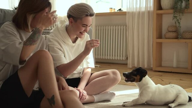 Lesbian women training dog and sitting on floor in apartment room indoors spbd.