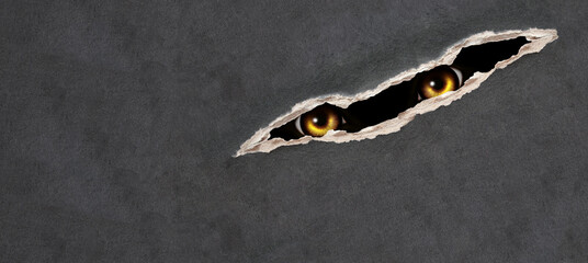 Horizontal Halloween background. A look from darkness