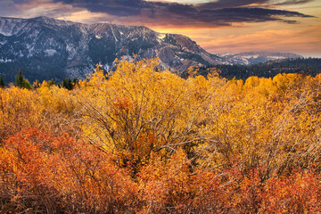 Fototapeta premium hiking at Mammoth California in the fall