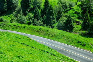 Asphalt roads and green grass in nalati grassland,Xinjiang,China.