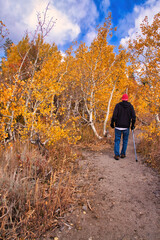 Fototapeta premium hiking at Mammoth California in the fall