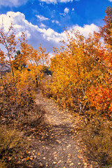 Fototapeta premium hiking at Mammoth California in the fall
