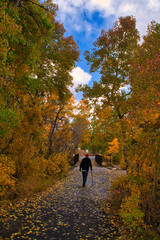 Fototapeta premium hiking at Mammoth California in the fall