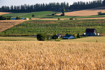 Biei, Hokkaido Japan