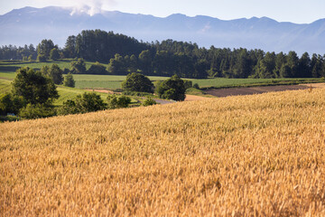 Biei, Hokkaido Japan