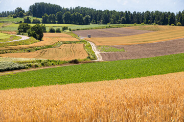 Biei, Hokkaido Japan
