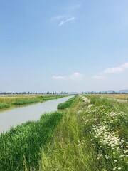 on one fine spring day