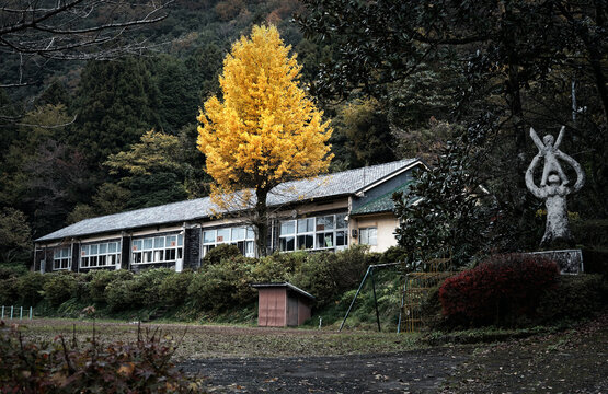 里山に残った廃校_01 / 山口県山口市徳地柚木
