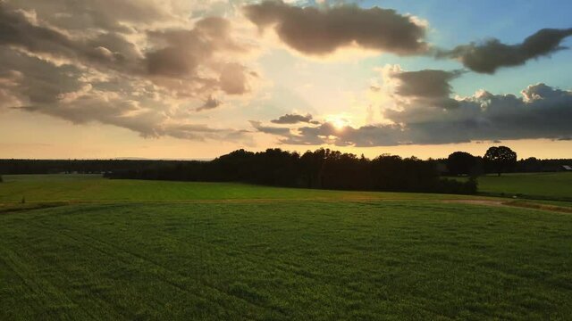 Tranquil Green Field With Cloudy Sky At Sunset Near Hjo, Sweden - aerial drone shot