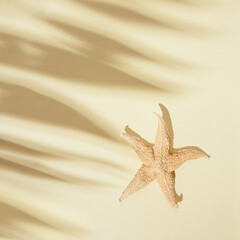 Fototapeta na wymiar Shadow of palm tree leaf and starfish on sand colored background as on beach. Summer minimal concept