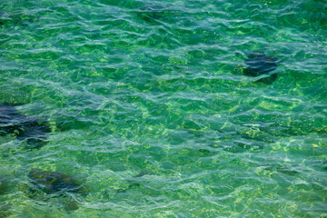 a close-up with the surface of the sea water