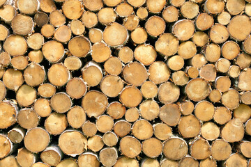 Birch logs background. Neatly stacked firewood.
