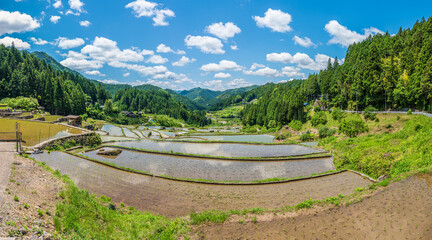 四谷の千枚田