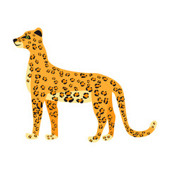 Leopard animal predator carnivores, cute character, trendy print. Vector illustration cartoon hand drawn