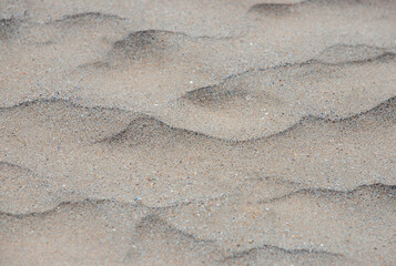 Small sand dunes on the beach