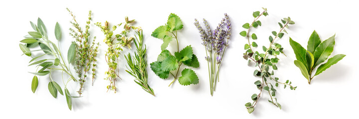 Fresh aromatic herbs, overhead flat lay panorama on a white background. Bunches of rosemary,...