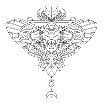 Moth Mandala Tattoo Illustration in Lineal Style