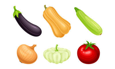 Ripe Vegetables as Healthy Raw Food Vector Set