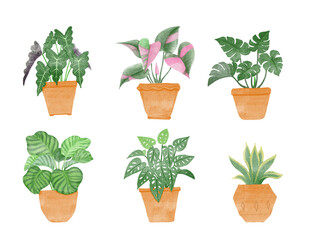 Green leaves tropical plant in brown pot, illustration watercolor