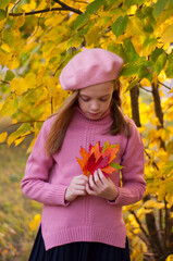 Cute little girl in a pink sweater and beret collects multicolored maple leaves