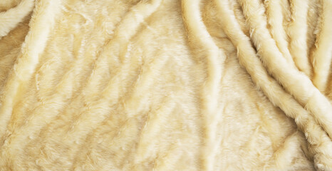 Natural fluffy fur sheep wool skin texture background, golden beige wool textured background and wall paper