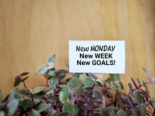 Inspirational and Motivational Concept - New monday new week new goals text background. Stock photo
.