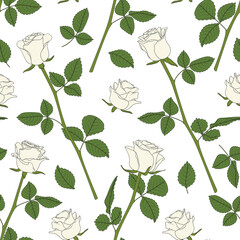 Seamless pattern with white roses. Vector colored floral background.