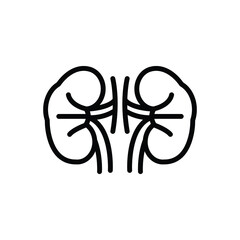 Black line icon for kidney