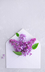 Obraz premium Mother's day. Spring lilac flowers blooming from white envelope. Birthday, Women's, Valentine. Flat lay, minimal.
