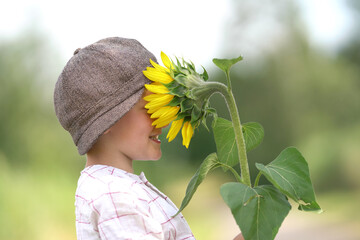 an der Blume
