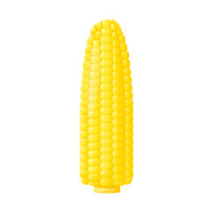 Whole peeled corn on a white background. A vegetable.