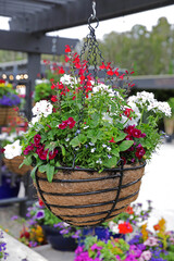 Fototapeta na wymiar garden flower basket