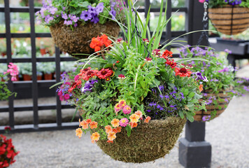 hanging flower basket