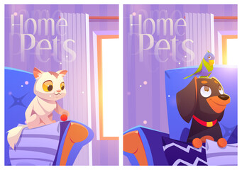 Home pets cartoon posters with kitten, parrot, dog