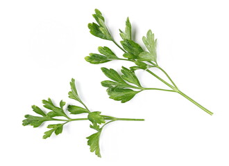 Obraz premium Green fresh parsley leaves isolated on white background, top view