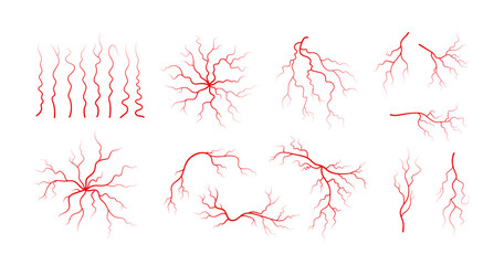 Set of human veins and arteries. Red branching blood vessels and capillaries. Vector illustration isolated on white background.