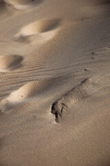  sand texture