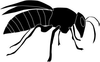 横を向いた蜂のシルエット素材