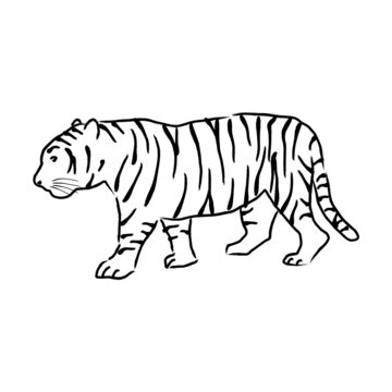 132 件の最適な 筆書きイラスト虎 画像 ストック写真 ベクター Adobe Stock 132 件の最適な 筆書きイラスト虎 画像 ストック写真 ベクター Adobe Stock