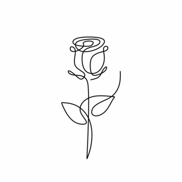 Rose flower line art vector, illustration of minimalist plant. Continuous one line drawing simplicity style.