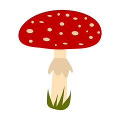 Mushroom with grass