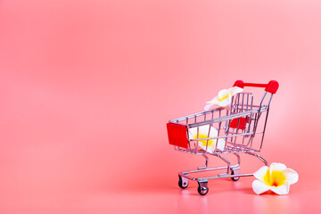 Shopping cart and flowers