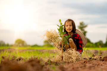 Children planting the tree on land in rural on blue sky background