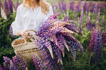 Happy women in whitу shirt with a bouquet of lupines walking in the summer field. Summer, lifestyle concept